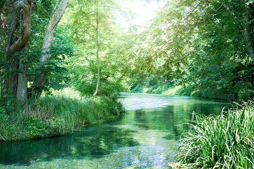 Japanese clear stream, The beautiful river which flows through the country, Nagano-ken in Japan, Clean water and abundant nature.