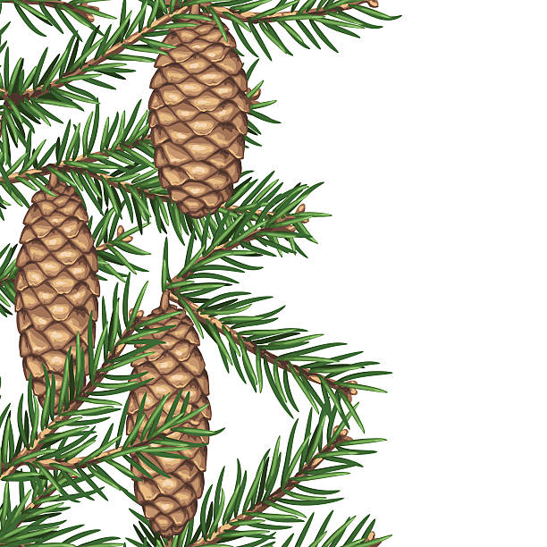 istock Seamless border with fir branches and cones. Detailed vintage illustration 596388996