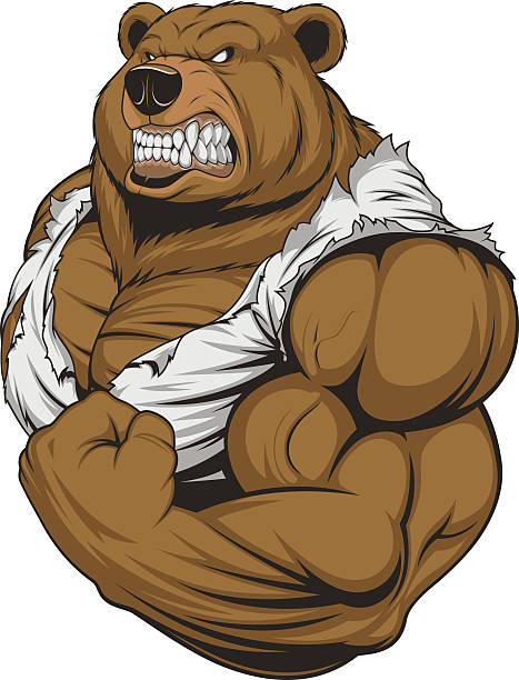 .Ferocious Bear athlete Vector illustration, a ferocious bear athlete posing, showing large biceps animal macho stock illustrations