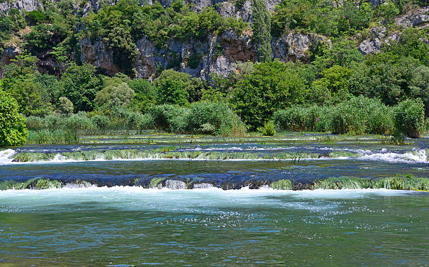 colares de pérolas - freshwater pearl imagens e fotografias de stock