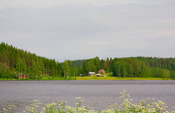 istock House on the lake, Finland 596768630