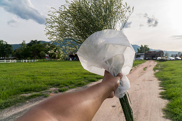 istock Asian men hand holding white flowers 596771210