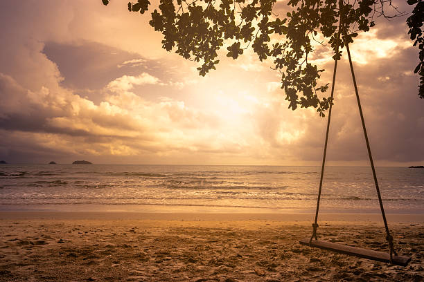 Swing hanging under tree and sunset at the beach. stock photo