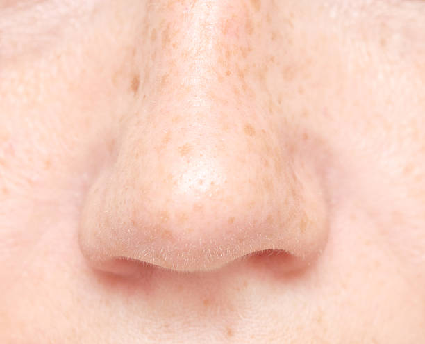 istock macro shot of nose 596776326