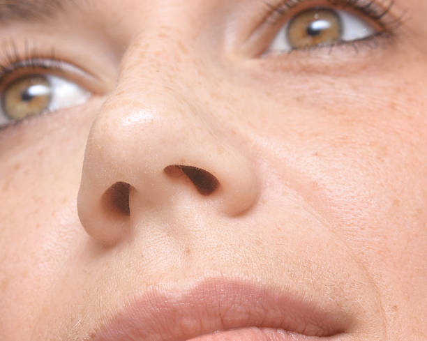 istock woman nose, macro 596776374
