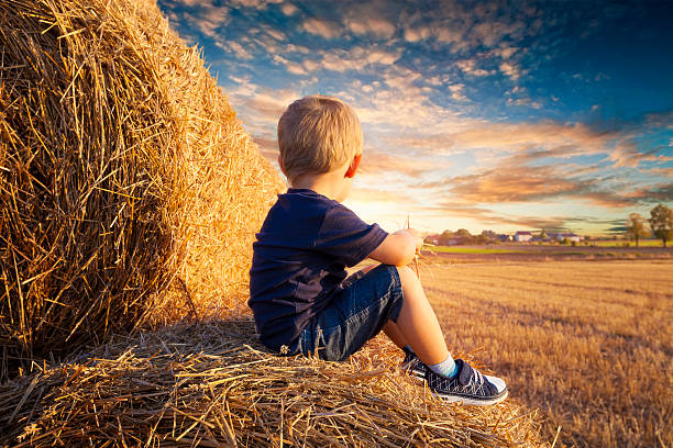 Child sitting on bales of straw Baby sitting on bales of straw and looks up into the sunset bale photos stock pictures, royalty-free photos & images