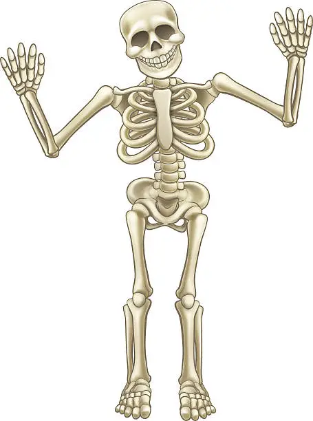 Vector illustration of Cartoon Skeleton Character