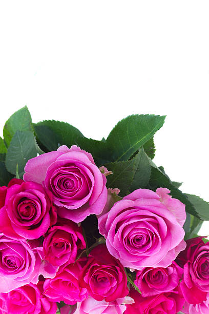 istock bouquet of fresh pink roses 596779690