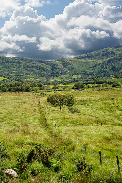 istock fence leading to trees and rocky mountains 596780592