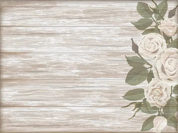 Vector illustration of Vintage wooden background white rose bud