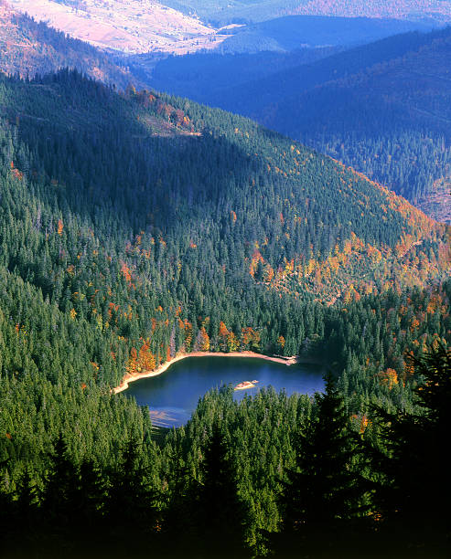 istock Synevyr Lake autumn view 596784760