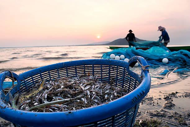 Fishermen catch fish from the river in a basket at the sunset.