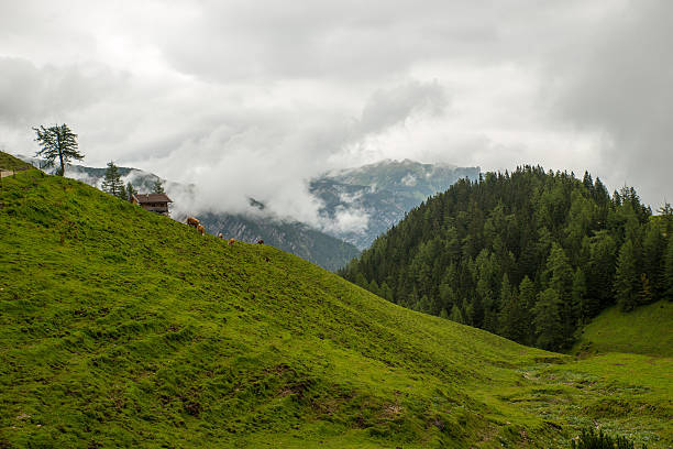 istock Hiking in the Tyrolean Alps 596791476