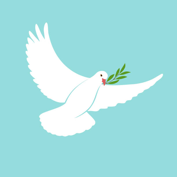 istock International Day Peace Template with white dove, olive, 21 september. 596791768