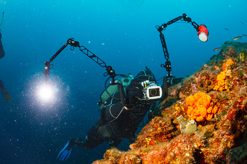 Underwater photographer. Scuba diving. Scuba divers photographing.  Beautiful sea life, live sea orange sponge and nudibranch.  Scuba diver point of view.