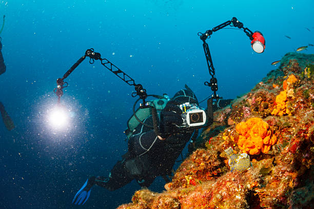 Underwater photographer Scuba divers photographing coral reef Sea life Nudibranch Underwater photographer. Scuba diving. Scuba divers photographing. Beautiful sea life, live sea orange sponge and nudibranch. Scuba diver point of view. sponge bath sponge nature animal stock pictures, royalty-free photos & images