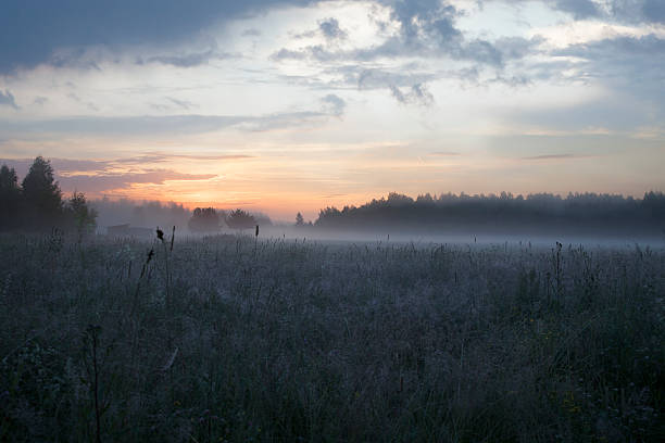 istock Morning sunrise landscape 596792454