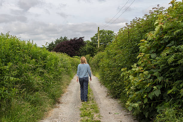 walker in a rural lane - drury lane imagens e fotografias de stock