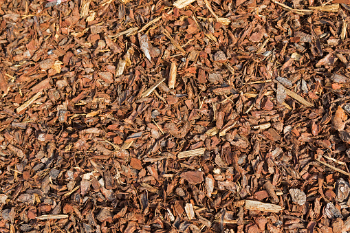 Texture of Coarse dried Pine Bark Nuggets ideal for topping garden bed to retain moisture