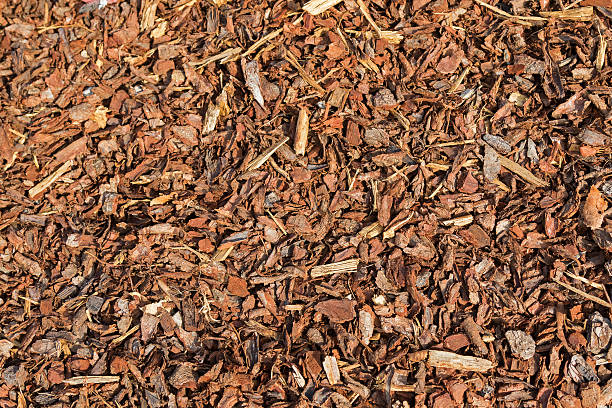 Coarse dried Pine Bark Nuggets ideal for topping garden bed stock photo