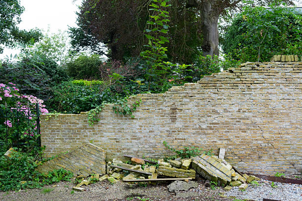 House without windows, grapes on the roof