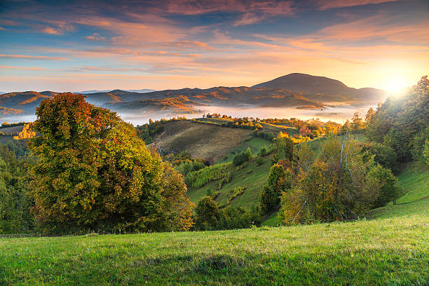 paesaggio autunnale colorato con valle nebbiosa, holbav, transilvania, romania, europa - autumn landscape hill tree foto e immagini stock
