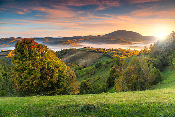 paisagem colorida de outono com vale enevoado, holbav, transilvânia, romênia, europa - mountain sunrise scenics european alps - fotografias e filmes do acervo