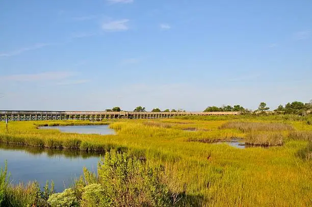 Photo of Assateague Seashore Marsh Nature Trail