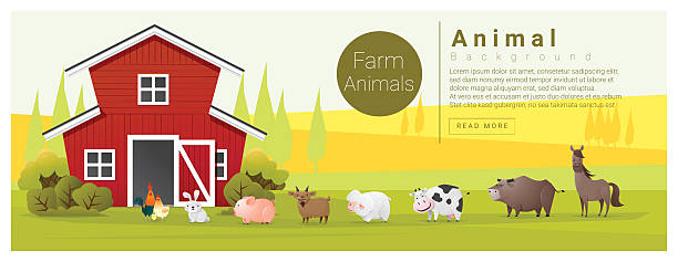 illustrazioni stock, clip art, cartoni animati e icone di tendenza di paesaggio rurale e origine animale d'allevamento - farm animal cartoon cow
