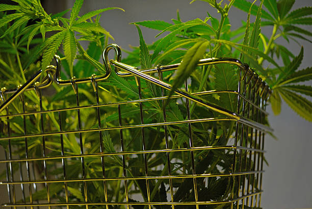 Marijuana in Shopping Basket stock photo