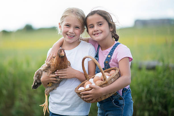 due ragazze in età elementare sono fuori nella fattoria e - market farmers market agricultural fair child foto e immagini stock