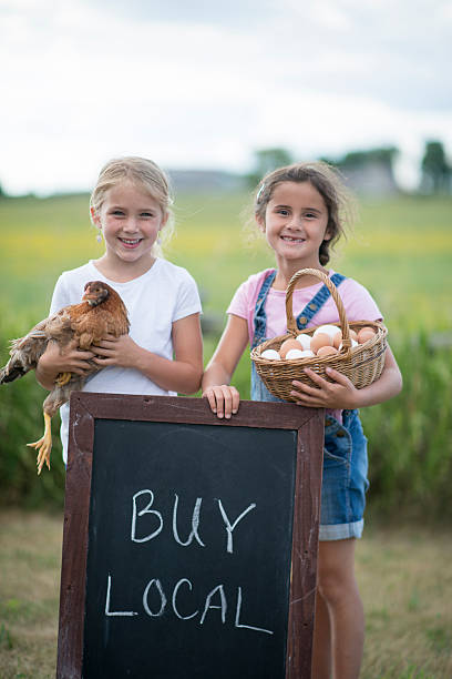 due ragazze in età elementare sono fuori nella fattoria e - market farmers market agricultural fair child foto e immagini stock