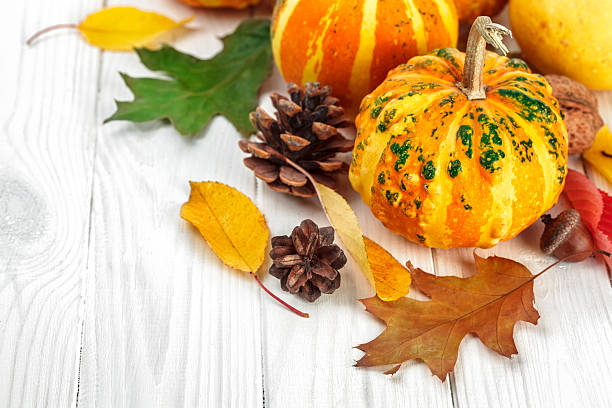 istock Halloween pumpkins with pinecone and autumn dry 596805486
