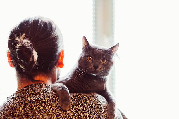 Pet Owner With Cat Stock Photo - Download Image Now - Domestic Cat, Carrying On Shoulders, Pet Owner - iStock Pet Owner With Cat Stock Photo - Download Image Now - Domestic Cat, Carrying On Shoulders, Pet Owner - iStock