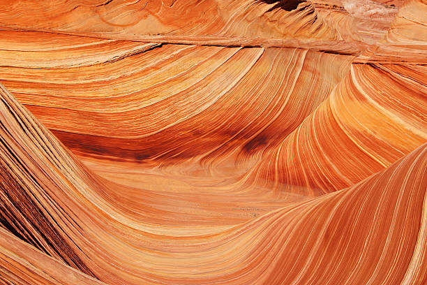 istock The Wave, Vermilion Cliffs National Monument, Arizona, USA 596808464