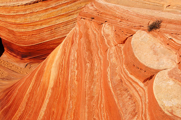 istock The Wave, Vermilion Cliffs National Monument, Arizona, USA 596808698