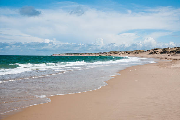 Beach in Nouvelle Aquitaine - France Sand beach in Nouvelle Aquitaine  - France  brittany france photos stock pictures, royalty-free photos & images
