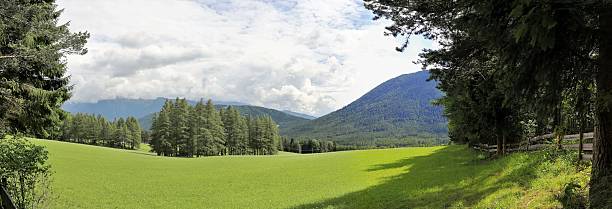 チロルの山の牧草地からのパノラ��マ画像 - bergwiese ストックフォトと画像