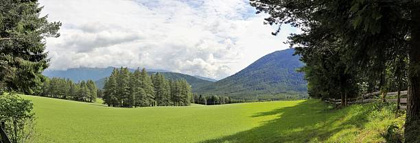 imagem panorâmica de um prado de montanha no tirol - bergwiese - fotografias e filmes do acervo