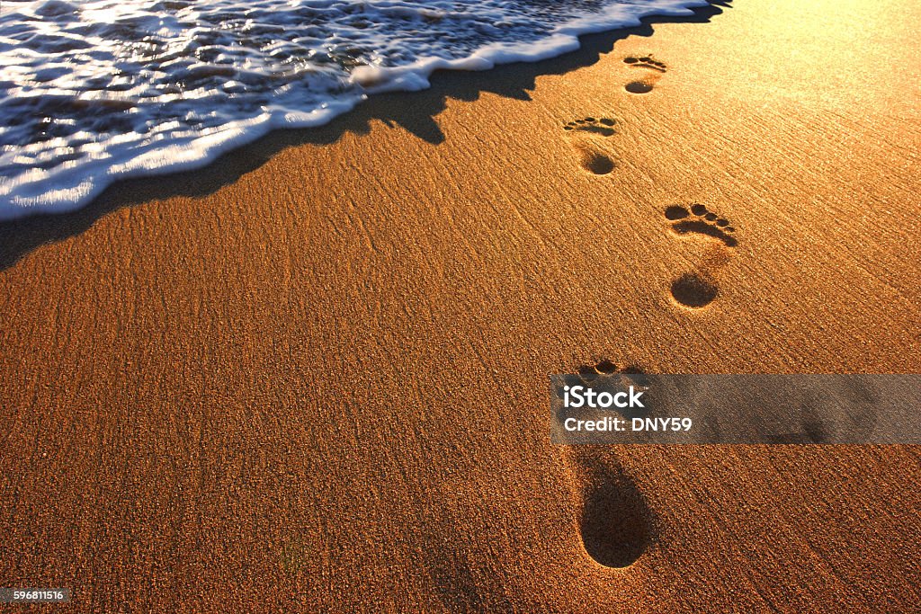 Footprints In The Beach Sand A late afternoon sun glints off of the pristine  beach sand as a set of footprints are about to be washed over by a gentle ocean surf washing in. Footprint Stock Photo