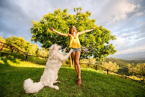 istock Woman with dog outdoors 596812708
