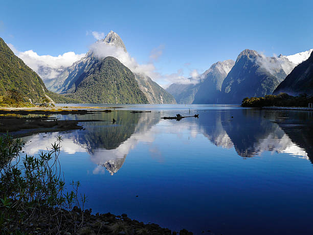 Beautiful Milford Sound Standing at the Milford Sound New Zealand fiordland national park photos stock pictures, royalty-free photos & images