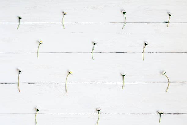 herbal flower on white wood table