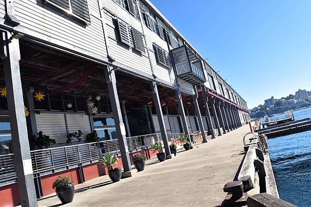 istock Flower bay Sydney 596815686