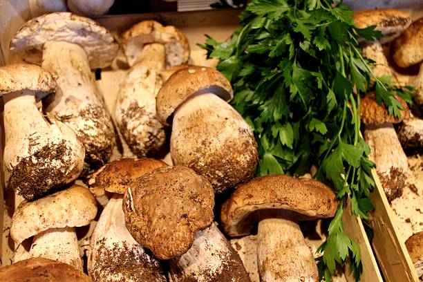 istock Porcini Mushroom 596816840