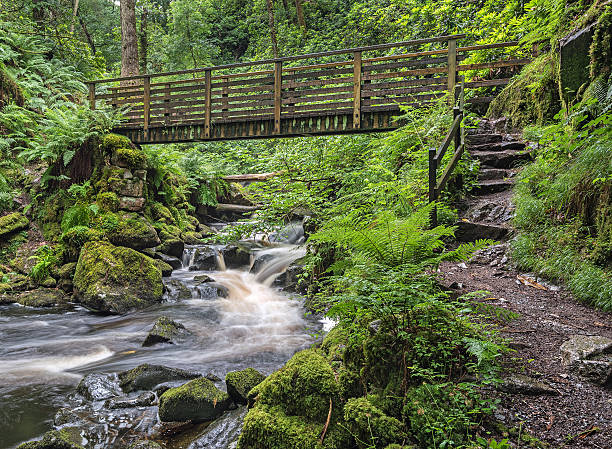 Footbridge over the River Esk, Cumbria