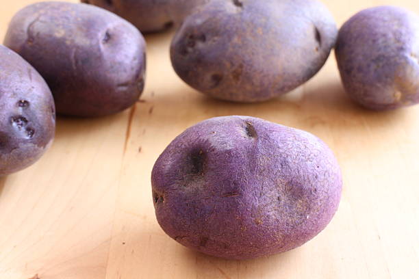 patatas púrpuras orgánicas - patata peruana fotografías e imágenes de stock