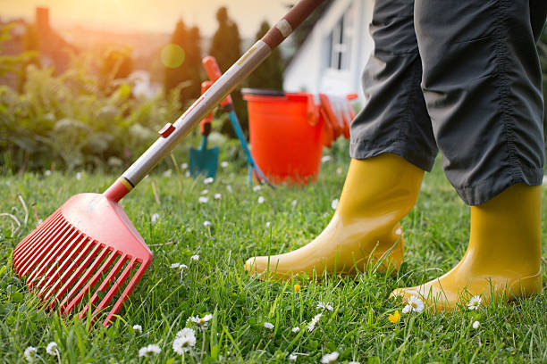istock Woman working in garden with rake 597216970