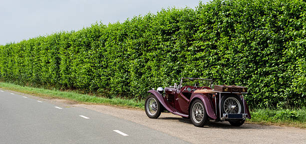 istock Vintage MG against a long green hedge 597223542