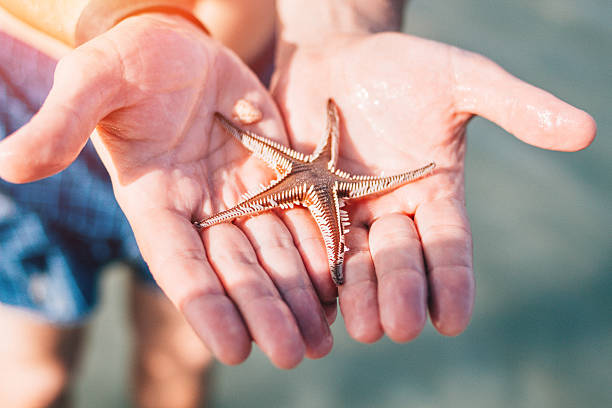 istock Male hands holding seastar 597228164